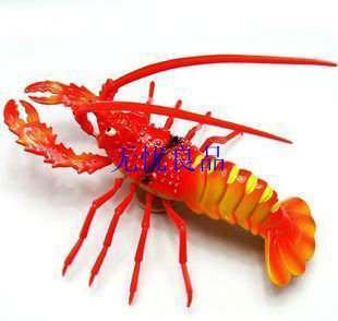 Ϻ涯Ϻ