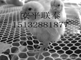 ̩˾ֳ