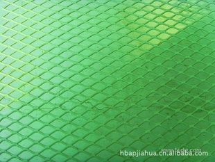 ֱ---------ѻ