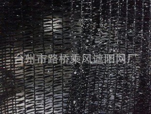 ϻ2[˷]