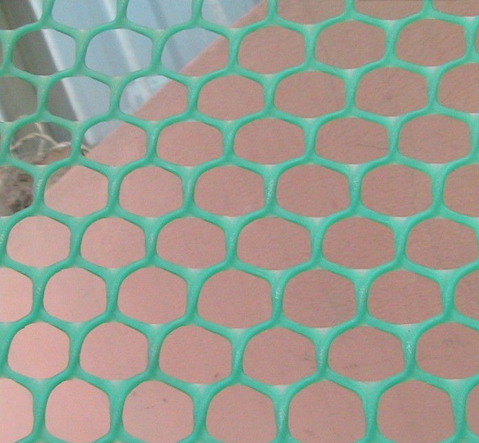Ӧֳ