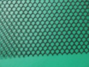 ֳƽֳֳ