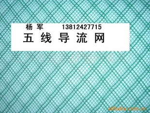 ˫