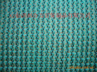 Բ˿ڹ⡢¡ʪȶֹ