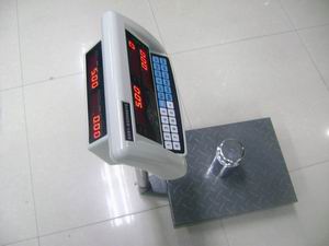 100ӵԵӳӿɴӡɱݣ100KG/10g