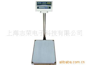 ¿̨˹Ӽ̨ӵӳ300kg/10g