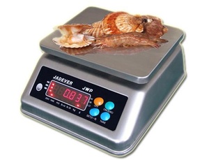 ̨JADEVERںJWPˮӳ6kg15kg30KG