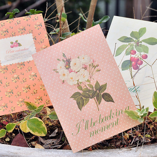 PetitPaperCalendar2013ɭŮϵֽƬ/·ڿƬ