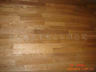 FSC̨