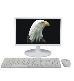 ӥɹʵ޹˾U.S.AEAGLEFACTIONINT'LHOLDINGS(C