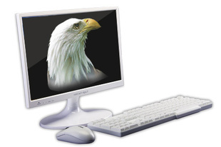 ӥɹʵ޹˾U.S.AEAGLEFACTIONINT'LHOLDINGS(C