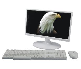 ƵͷԵĵ