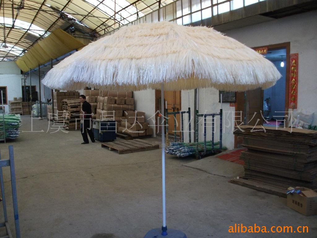 ĵɡHawaii