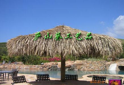 ɡҶɡɡɡpalapa