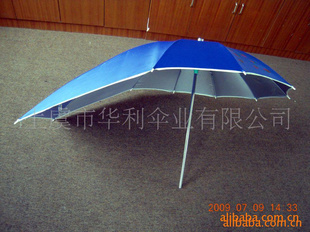 ݻ綯ɡ綯ɡͼ