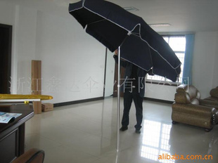 220CM*8240CM*10ǵͥԺɡ
