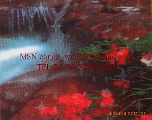 MH81Ĥ֮Ĥ֮Ӱ¥Ĥ