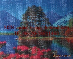 2811Ĥ֮Ӱ¥Ĥ֮Ĥ