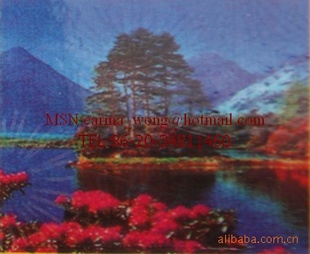 MH56Ĥ֮Ĥ֮Ӱ¥Ĥ