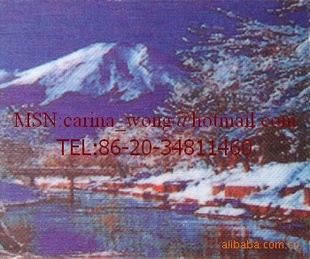 2815˿Ĥ֮Ĥ֮Ӱ¥Ĥ
