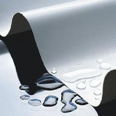 ImmobilonTranerMembranesƫϩPVDFתӡĤ