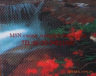 2809Բ㲼Ĥ֮Ĥ֮Ӱ¥Ĥ