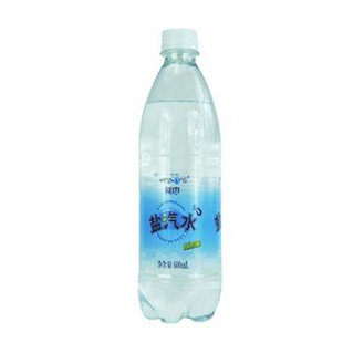 ѩˮ600ML×24ƿ/