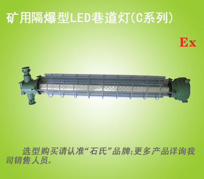 防防腐全塑荧光灯,防照明灯,防工矿灯具