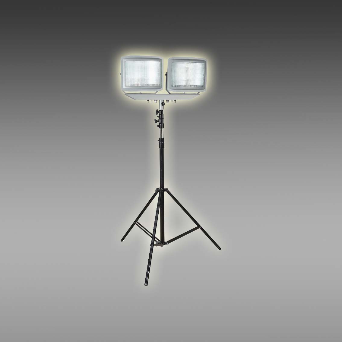 ЯʽYDM5300