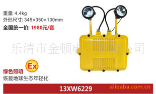 金顿、防灯具BXW6229防应急灯、双头防应急灯、LED应急灯