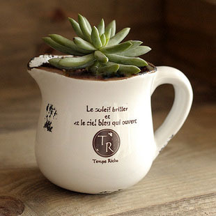 zakka||մɱ|2013¿B03001051