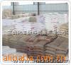 ԸճTPEEBT-1172DPM581