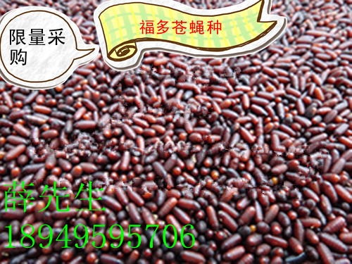 ̲Ӭ֣Ӭֱ