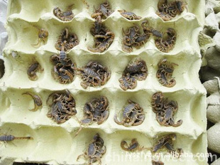 Ы