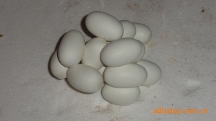Ʒ