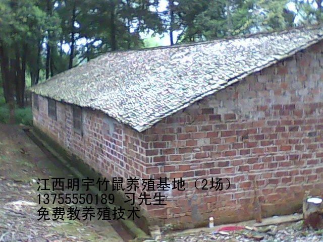 ֳ|ֳ