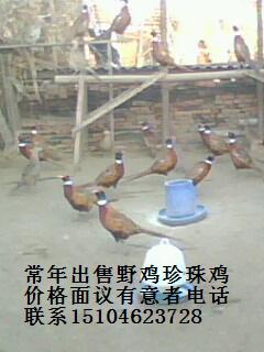 Ұ