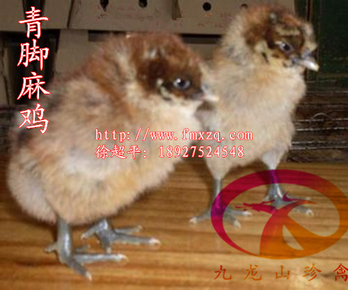 ຣ磭ຣ
