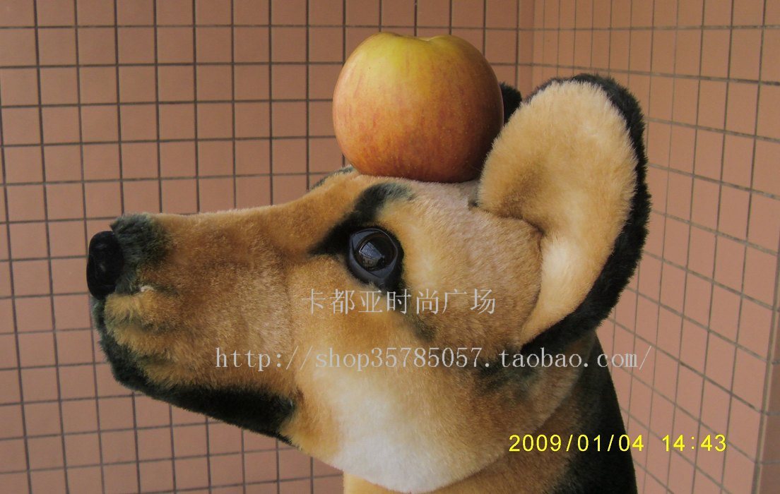 AT07ᳪ湷׵¹ȮȮ37Ԫ12#30cm