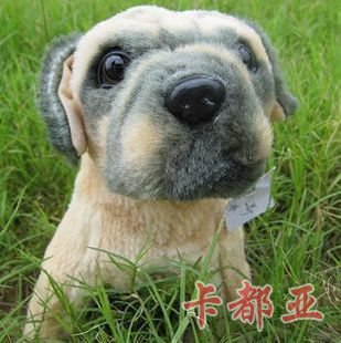 湷Ȯװ͸Ȯ27Ԫ