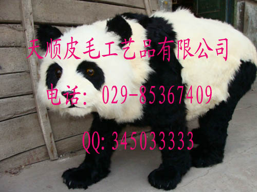 ͯķ涯ģͷʨӷè