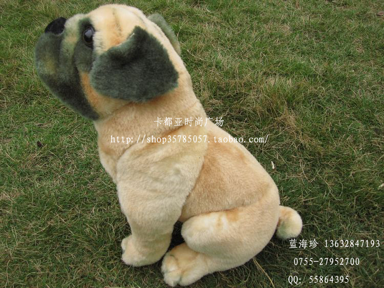 AT08лᳪķ湷װ͸Ȯ79Ԫ34#53cm