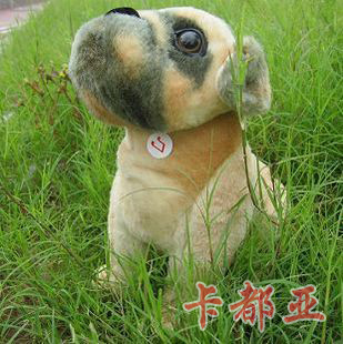 F58湷Ȯװ͸Ȯ28Ԫ12#30cm