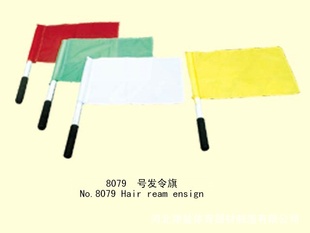 8079