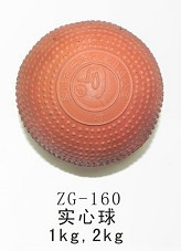ZG-160ʵ
