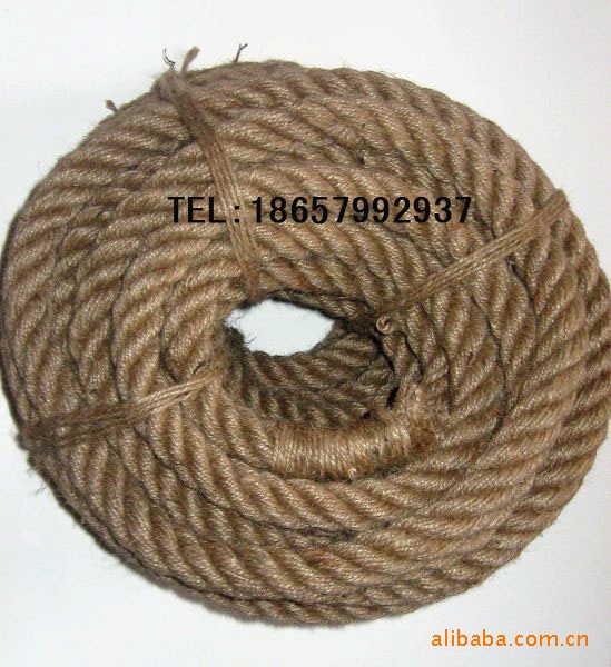 ֱ20κ/3CMֱκ