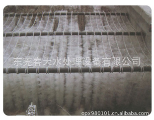 嵯