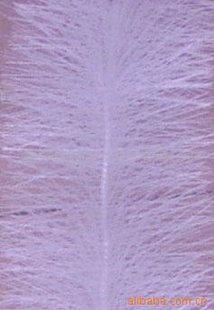 ֱ