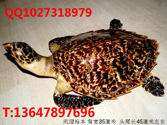 裱걾30լа۲ƳƷ