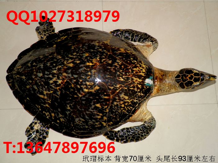 裱걾裹Ʒլа۲ƳƷ